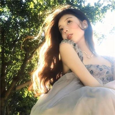 归来燕 海报